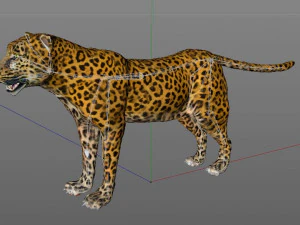 leopard rigged animal 3D Model