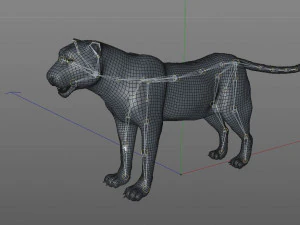 leopard rigged animal 3D Model
