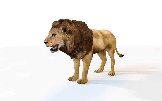 lion rigged animal 3D Model .c4d .max .obj .3ds .fbx .stl .blend 