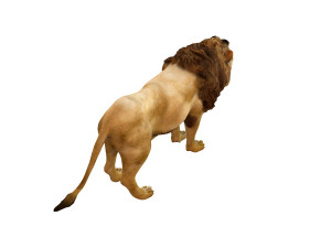 lion rigged animal 3D Model