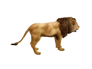 lion rigged animal 3D Model