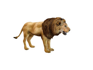 lion rigged animal 3D Model