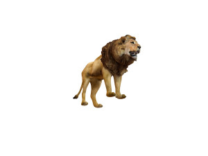lion rigged animal 3D Model