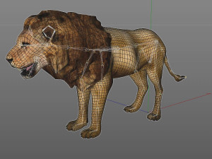 lion rigged animal 3D Model