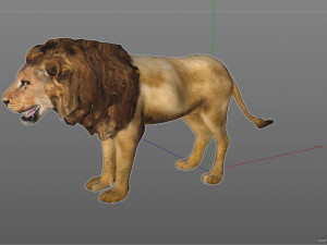 lion rigged animal 3D Model