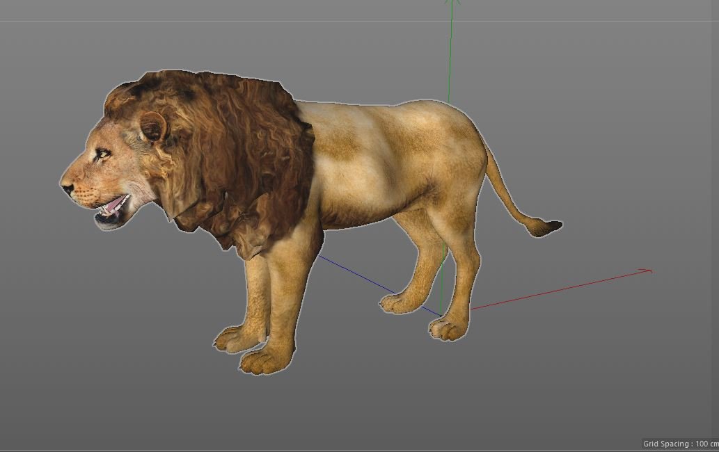 Lion Rigged Animal 3d Model In Cat 3dexport