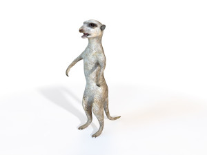 meerkat rigged animal 3D Model