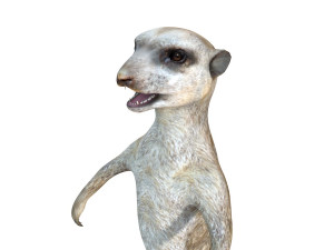 meerkat rigged animal Modelo 3D