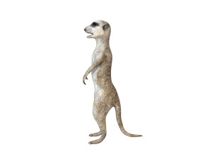 meerkat rigged animal Modelo 3D