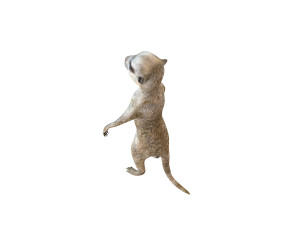 meerkat rigged animal Modelo 3D