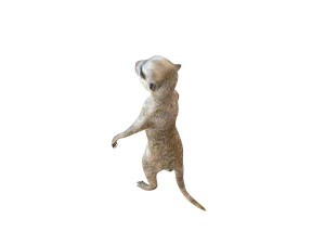 meerkat rigged animal 3D Model