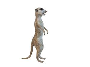 meerkat rigged animal Modelo 3D