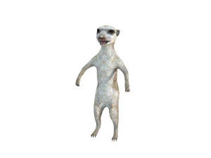 meerkat rigged animal 3D Model