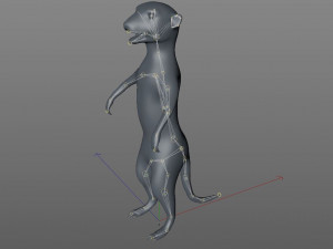 meerkat rigged animal Modelo 3D