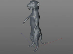 meerkat rigged animal 3D Model