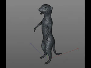 meerkat rigged animal 3D Model