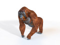 Orangutan Rigged Animal 3D Model