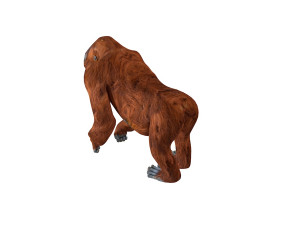 orangutan rigged animal 3D Model