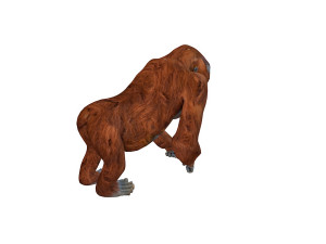 orangutan rigged animal 3D Model