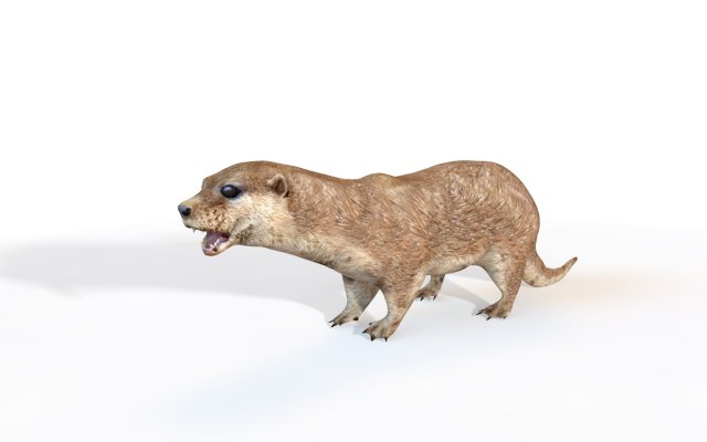 otter rigged animal Modèle 3D .c4d .max .obj .3ds .fbx .stl .blend 