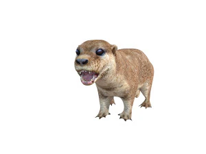 animale truccato da lontra Modello 3D