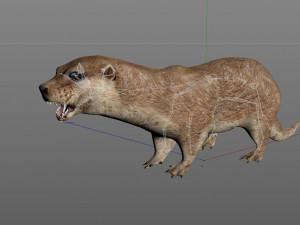 otter rigged animal Modèle 3D