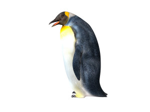 Penguin rigged animal 3D Model