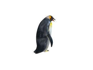 Penguin rigged animal 3D Model