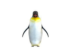 Penguin rigged animal 3D Model