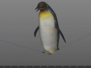 Penguin rigged animal 3D Model