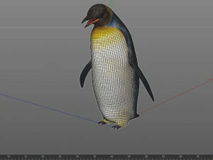 Penguin rigged animal 3D Model