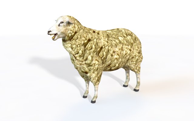 sheep rigged animal 3Dモデル .c4d .max .obj .3ds .fbx .stl .blend 
