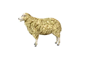 sheep rigged animal 3D Model