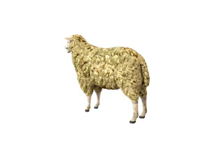 sheep rigged animal 3D Model