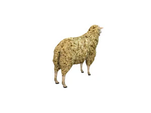 sheep rigged animal 3D Model