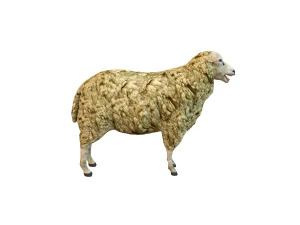 sheep rigged animal 3D Model