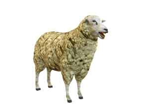 sheep rigged animal 3Dモデル