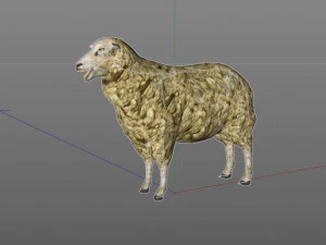 sheep rigged animal 3D Model
