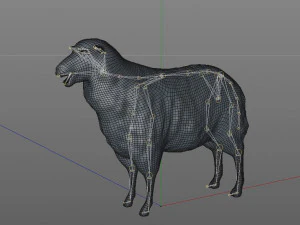 sheep rigged animal 3D Model
