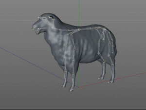 sheep rigged animal 3D Model