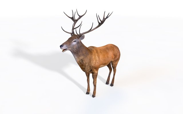 stag deer rigged animal 3D Model .c4d .max .obj .3ds .fbx .stl .blend 