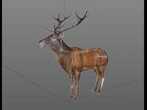 stag deer rigged animal 3D Model