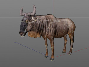 wildebeest rigged Model 3D