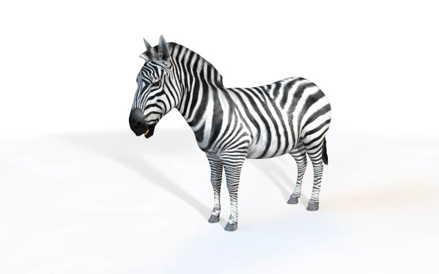 zebra rigged 3D Model .c4d .max .obj .3ds .fbx .stl .blend 