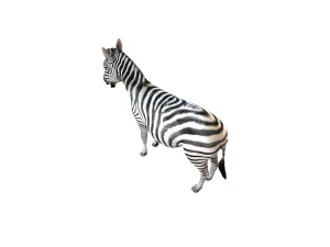 zebra rigged 3D Model