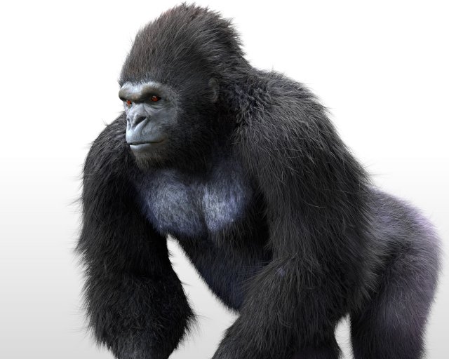 gorilla hairs rigged low poly animal Modèle 3D .c4d .max .obj .3ds .fbx .stl .blend 