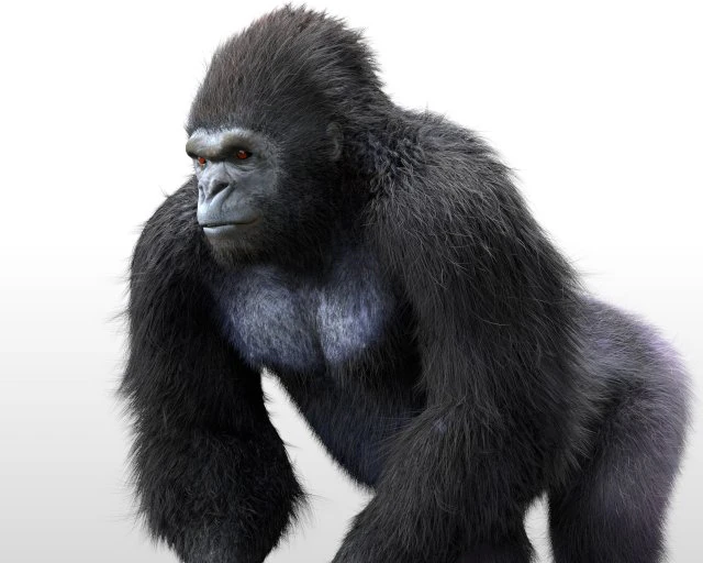 gorilla hairs rigged low poly animal 3D Model .c4d .max .obj .3ds .fbx .stl .blend