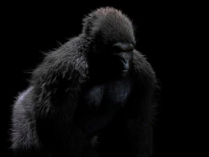 gorilla hairs rigged low poly animal 3D Model