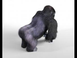 gorilla hairs rigged low poly animal Modèle 3D