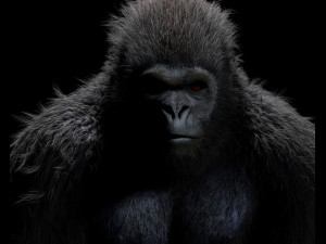 gorilla hairs rigged low poly animal Modèle 3D